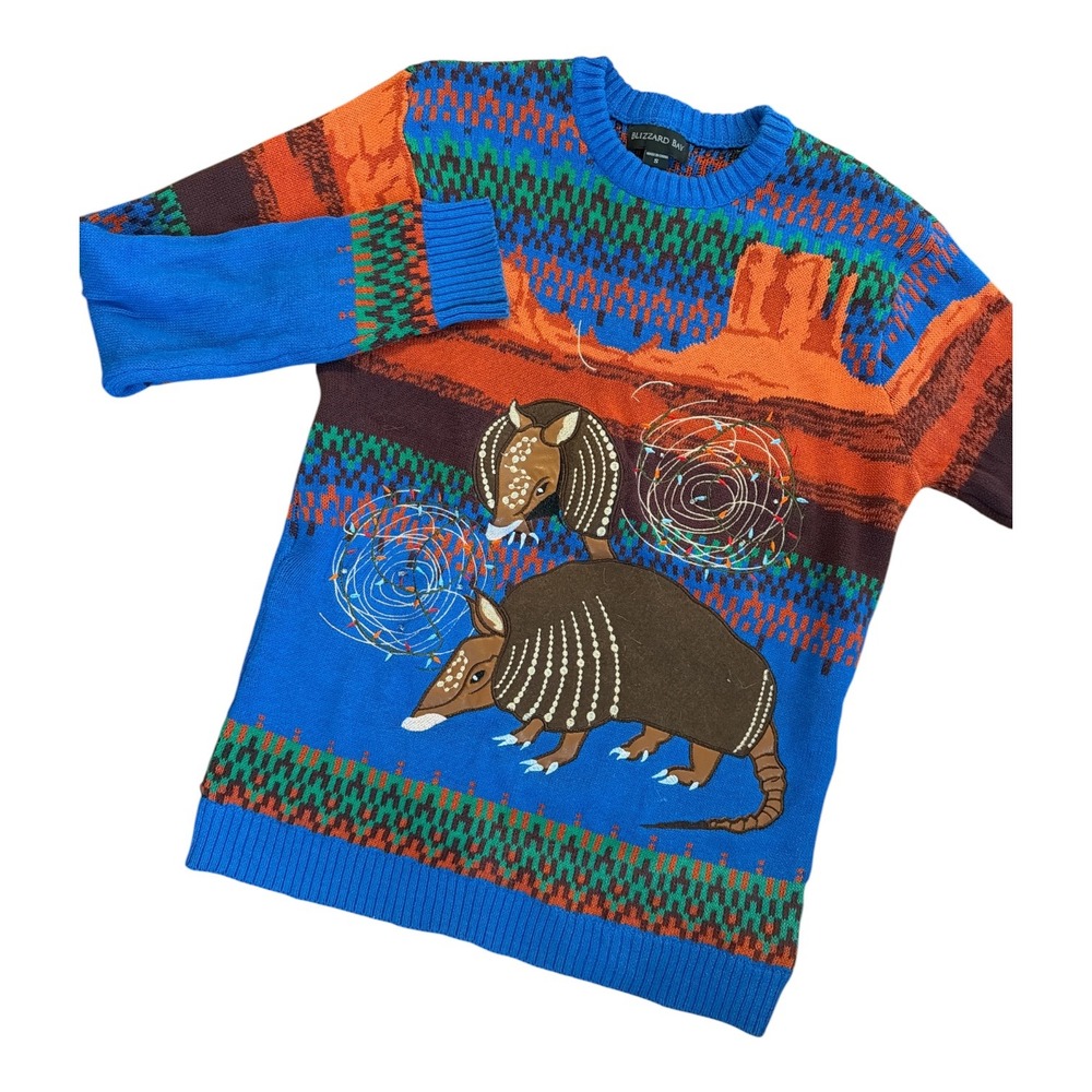 Blizzard Bay Light Up Armadillo Desert Landscape Sweater Blue Small RN73352